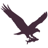 Friends-of-Osprey-icon Friends of Osprey South Australia